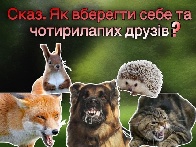 Сказ