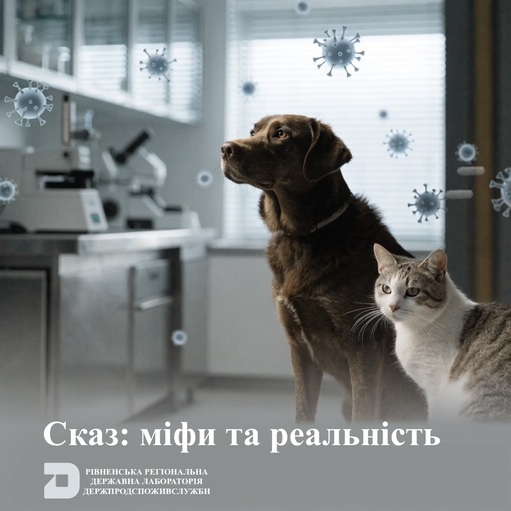  Сказ: міфи та реальність