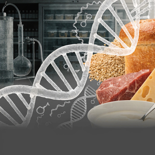  Як ПЛР знаходить «чужі» гени?